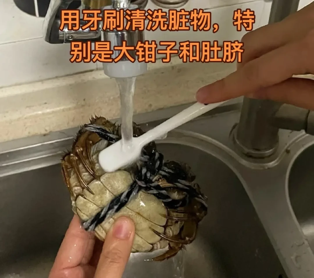 从12分钟吵到25分钟:对完全网十来份蒸蟹时间表,我发现真正没统一的不是分钟数