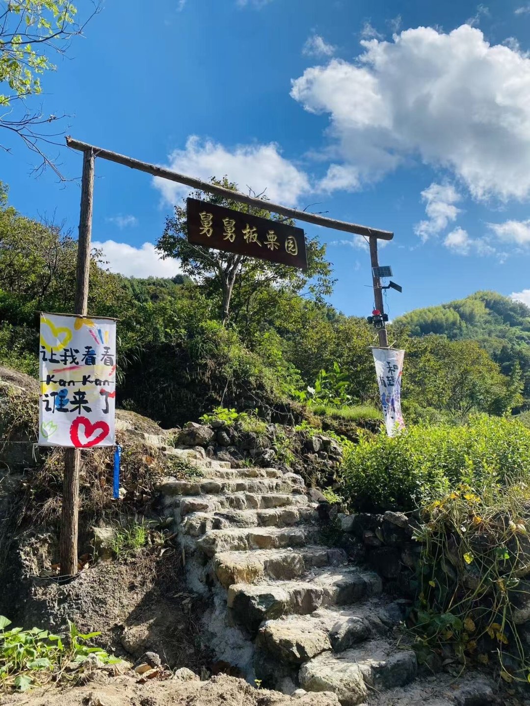 国庆当天板栗就稀了,“免费”的只肯私信发位置:对完20多篇秋收遛娃帖的实价和档期——中秋国庆带娃下地,先排作物再抢场次