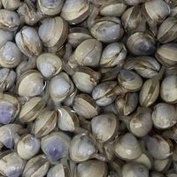提桶从大潮回来：2万赞的神技根本不会让蛤蜊吐沙，正确答案只有盐度、水温和安静