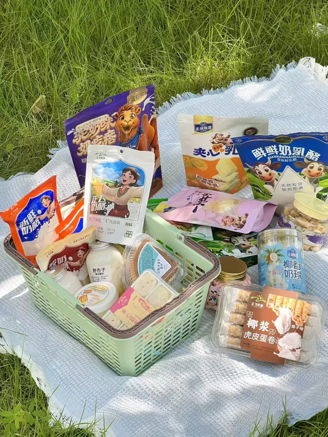 干果奶制品特写