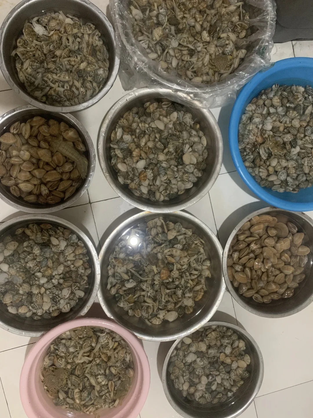 35元的票和350元的团不是一笔生意:双节付费赶海,先把一百块买什么搞清楚