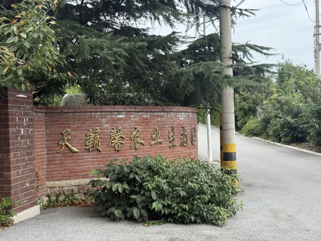 免费捡漏帖48小时就过期：核完9月36条秋收遛娃帖，中秋带娃下地前先对表三个时钟