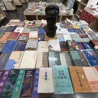 《大厂病》三印了:被骂“AI味”却三个半月加印三次,这60块到底该不该花