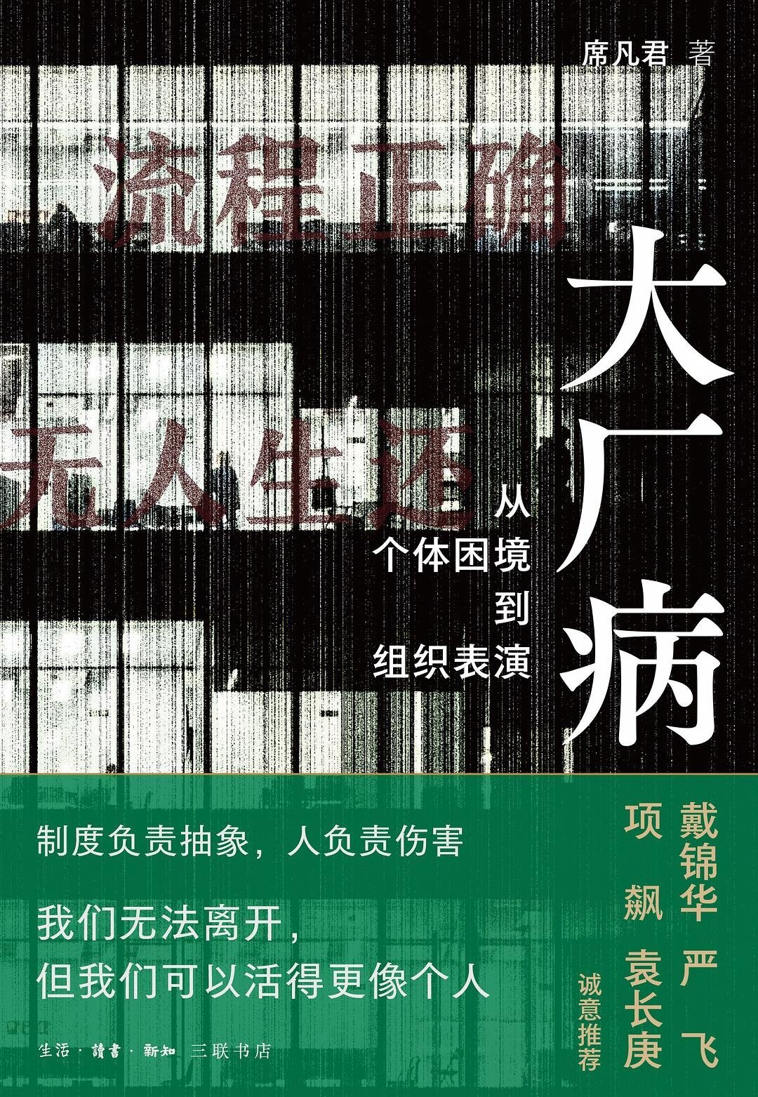 《大厂病》三印了:被骂“AI味”却三个半月加印三次,这60块到底该不该花