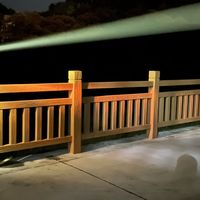 蓝光不惊鱼、黄光成新派、红光另立山头：翻完全网今夏的夜钓灯论战，惊鱼的真变量从来不是颜色