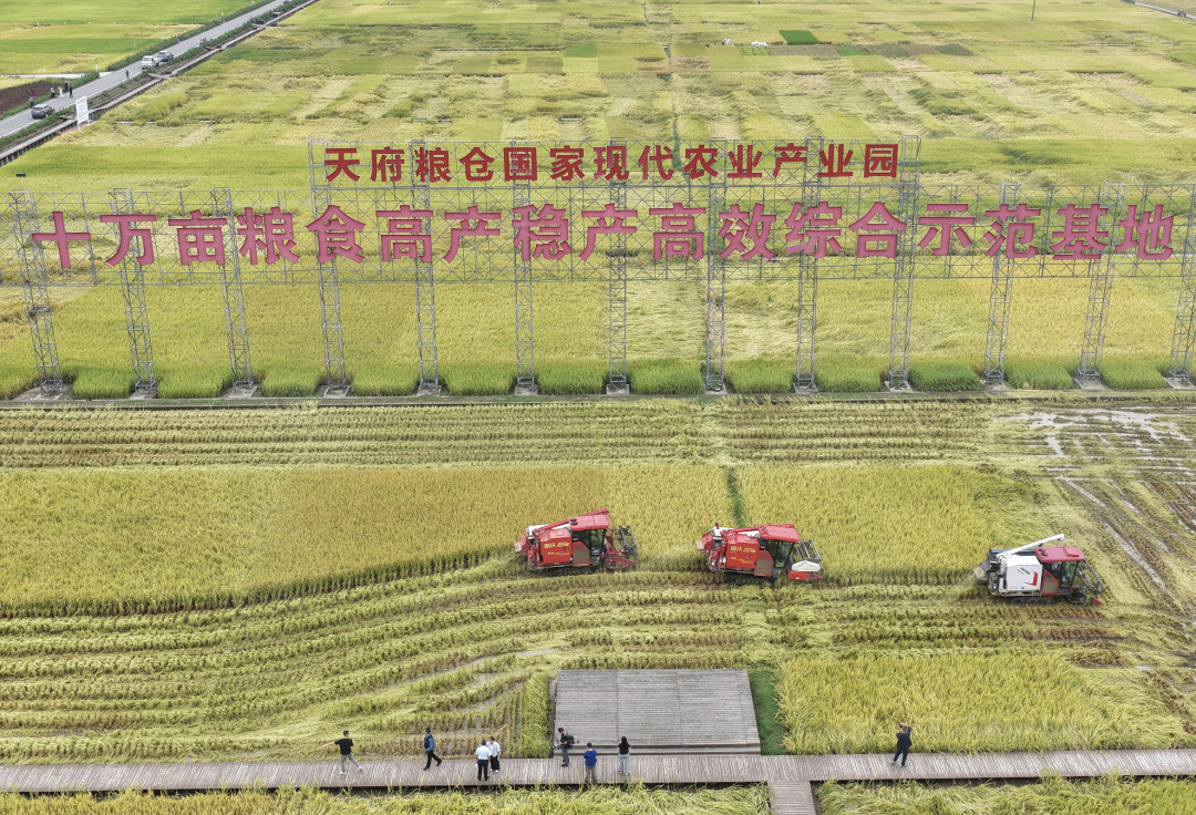 「米价要涨」的传闻，比镰刀还急：北大仓刚开镰，我把四条传导链和三层托底逐条拆完，你真正该盯的不是米缸
