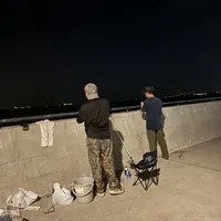 黄光不惊鱼、蓝光惊鱼？网传最火的夜钓灯帖，把物理讲反了：九月换灯前，先看光柱、再看漂尾、最后看价签