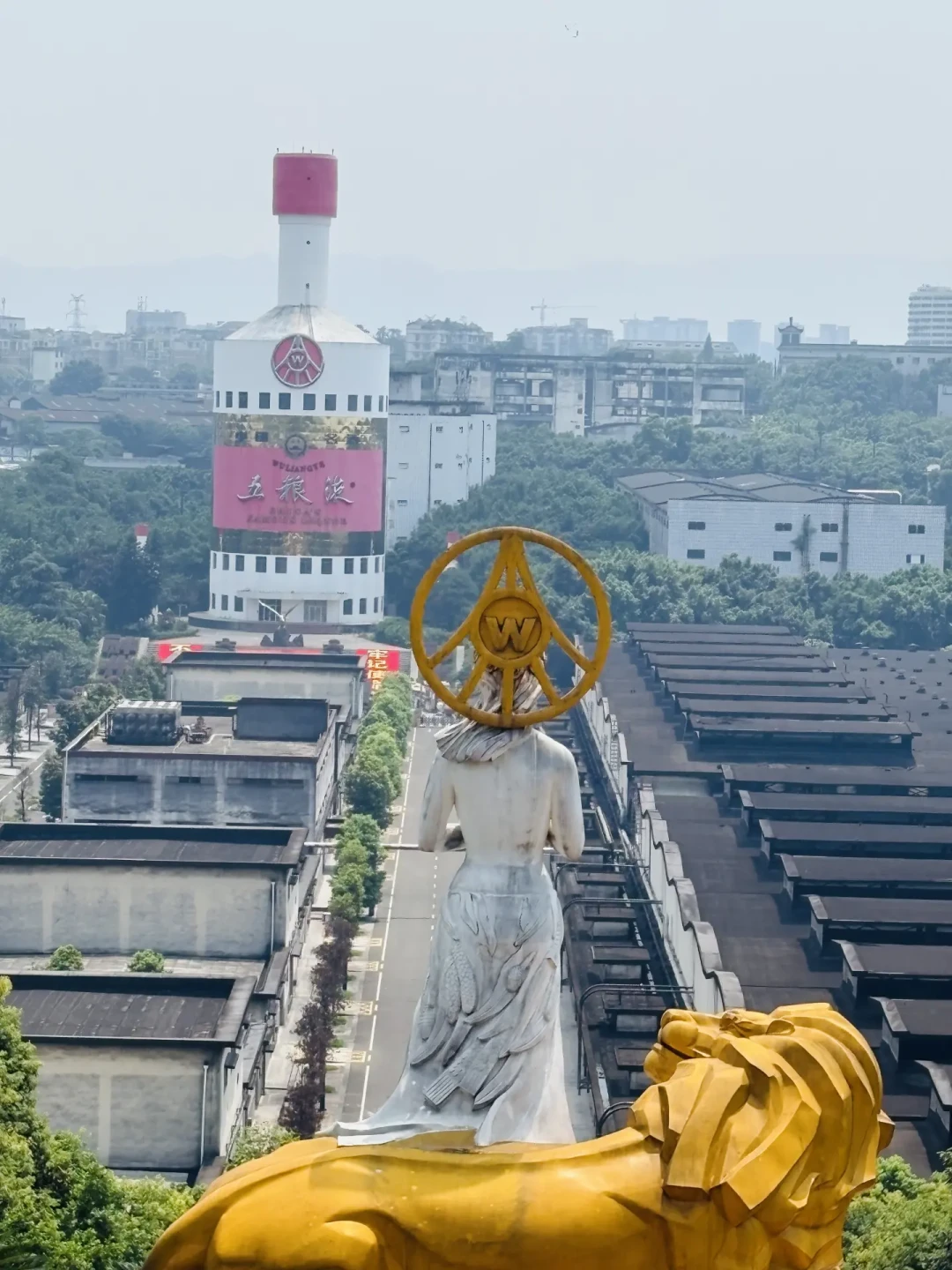 国庆去五粮液厂区转转:门票免费,但这4个数——20、35、288、298——决定你半天值不值