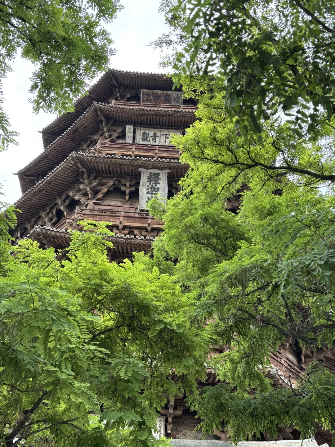传“落架大修”被辟谣,但它确实歪了95年:国庆去看应县木塔前,先把一百年没拍板的四个修缮方案看懂