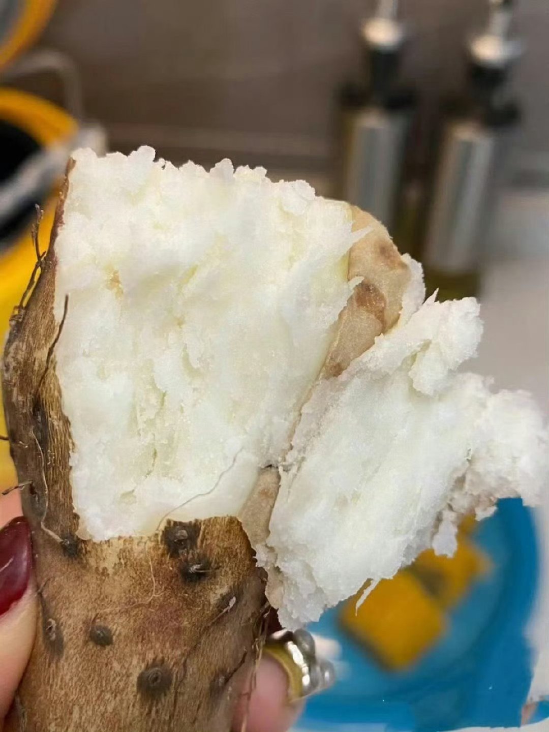 8月底就开挖的