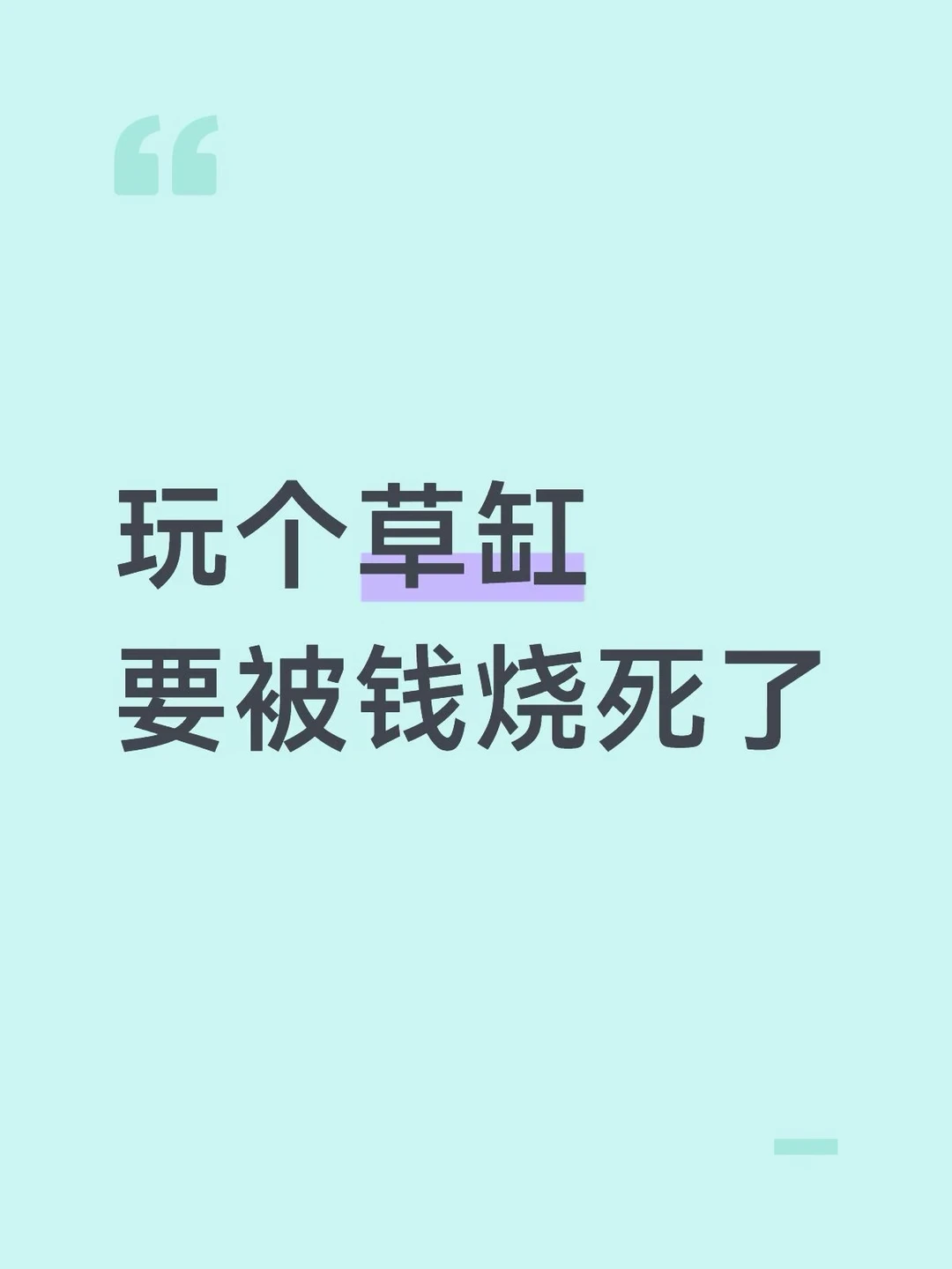 收藏