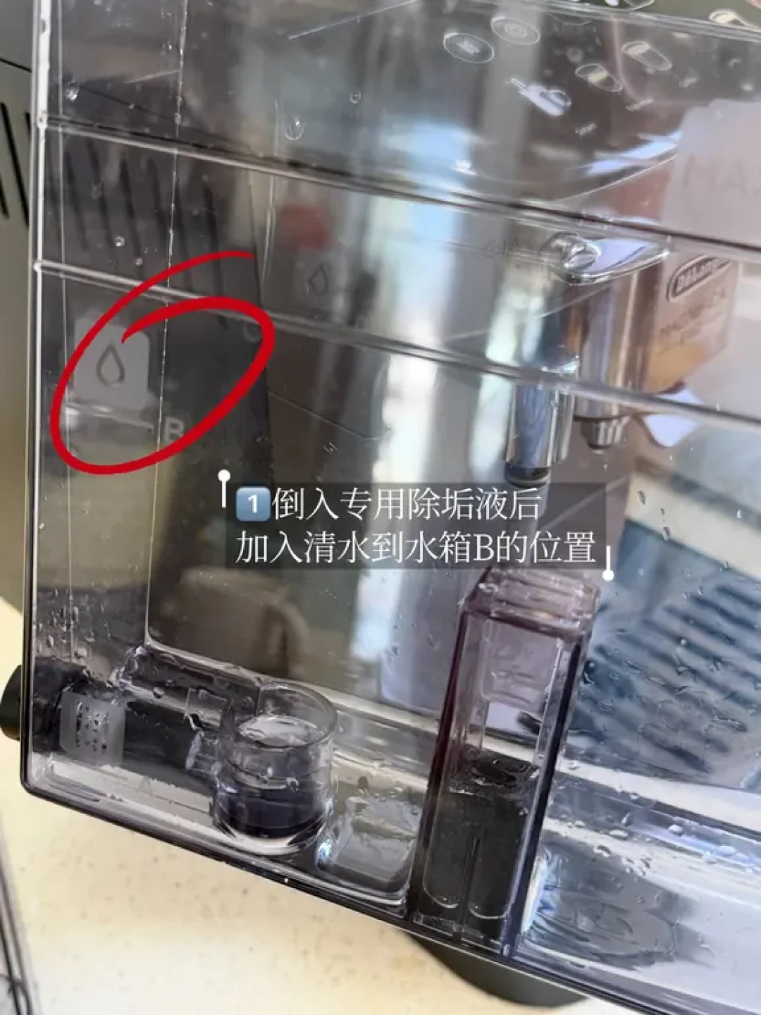 教程里“每天反冲洗”是店家的账:对完20多篇家用机清洁帖和三个提示灯,真值得日更的只有那30秒