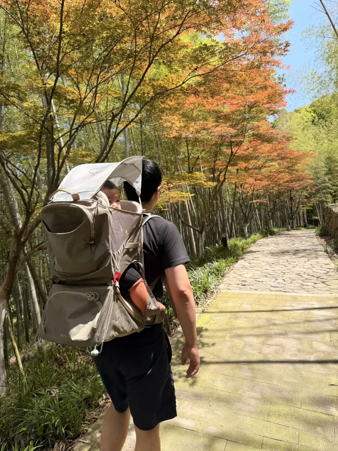 退了870的国产平替,卡在2900的小鹰上:交叉读完儿童背架帖,差价、版本、月龄、买租四笔账一次对完