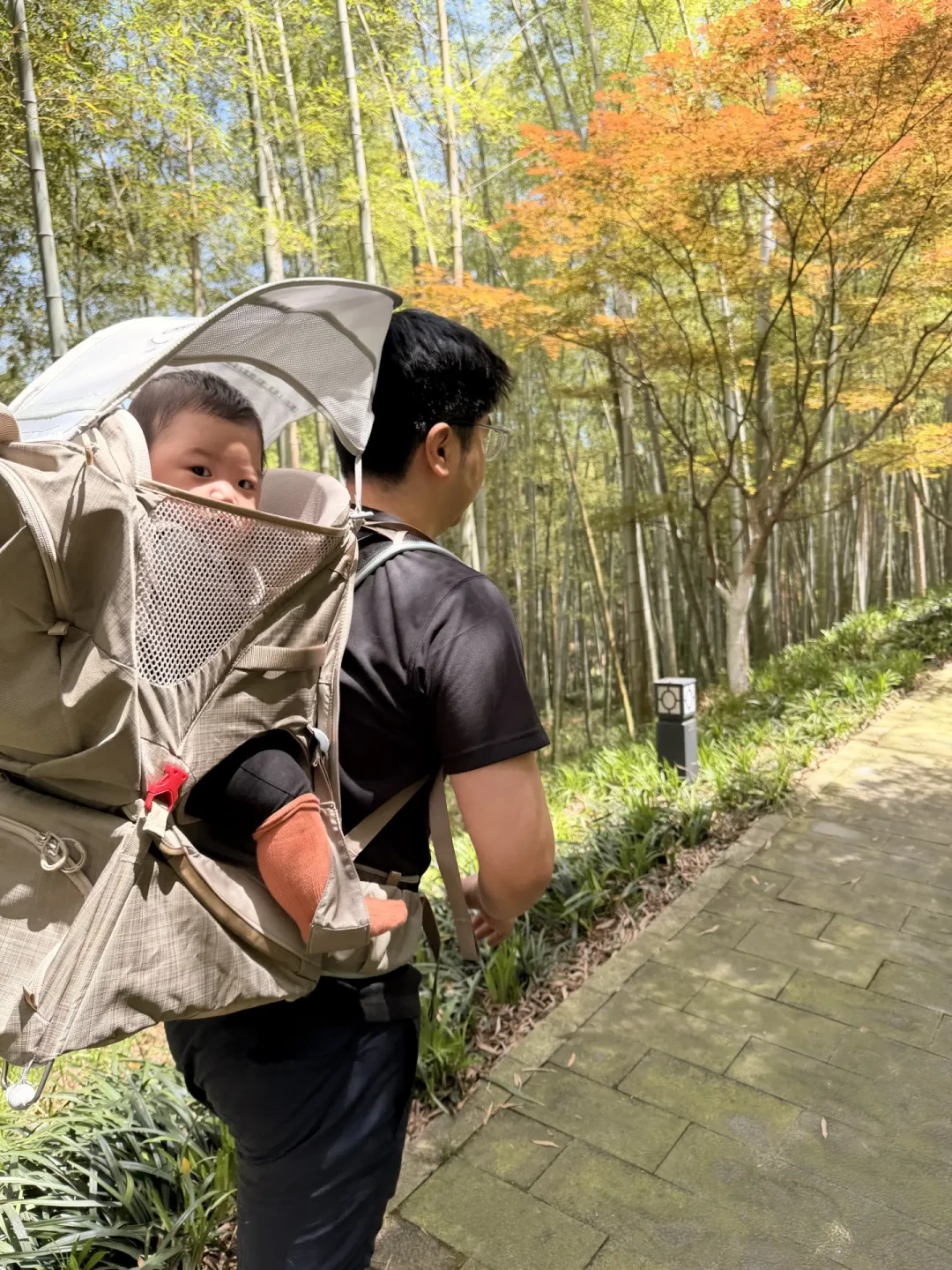 退了870的国产平替,卡在2900的小鹰上:交叉读完儿童背架帖,差价、版本、月龄、买租四笔账一次对完
