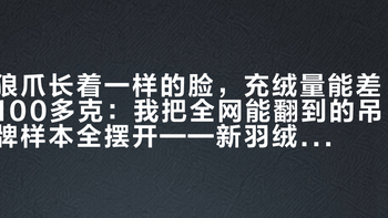 狼爪长着一样的脸，充绒量能差100多克：我把全网能翻到的吊牌样本全摆开——新羽绒国标生效后的第一个秋冬，下单前先看三个数