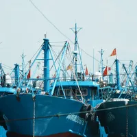 梭子蟹批发腰斩到13元一斤、带鱼反手连涨两次：东海9月16日全面开渔——中秋家宴买海鲜，先对时间表、再算账