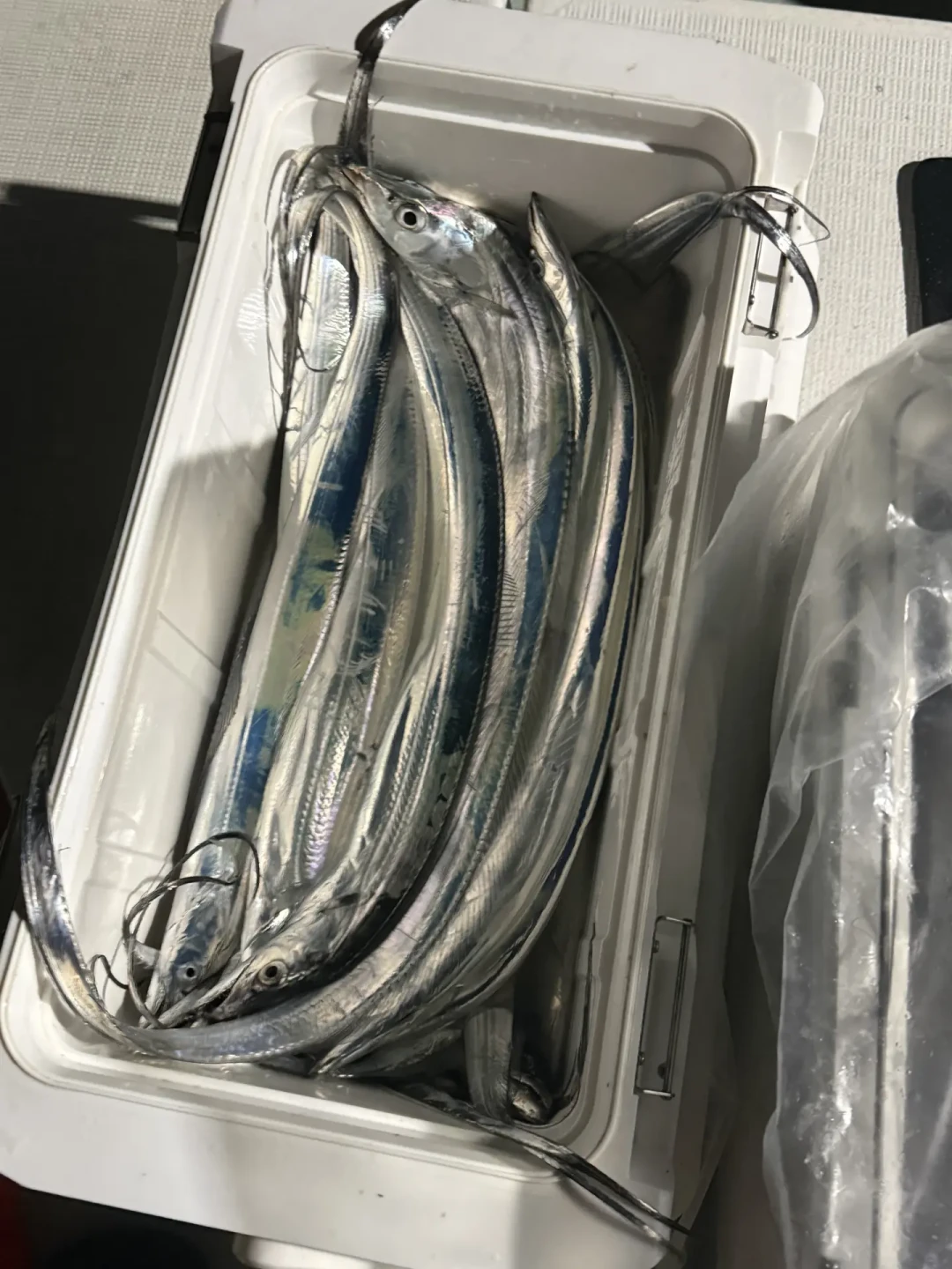 梭子蟹批发腰斩到13元一斤、带鱼反手连涨两次：东海9月16日全面开渔——中秋家宴买海鲜，先对时间表、再算账