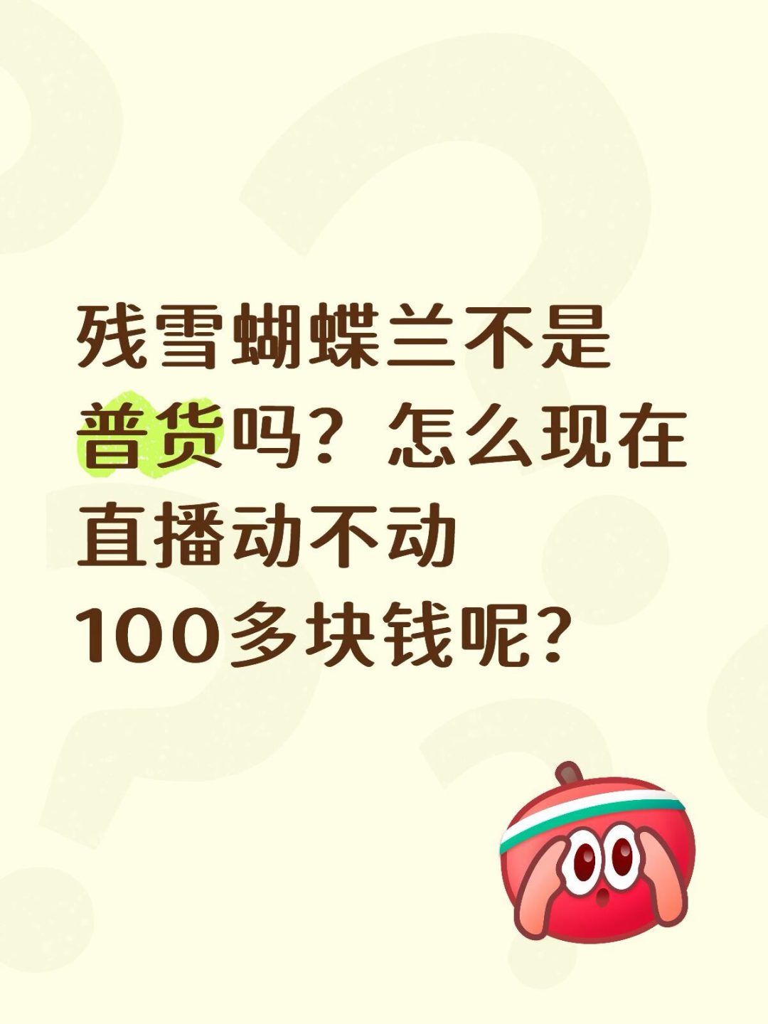 2.5寸