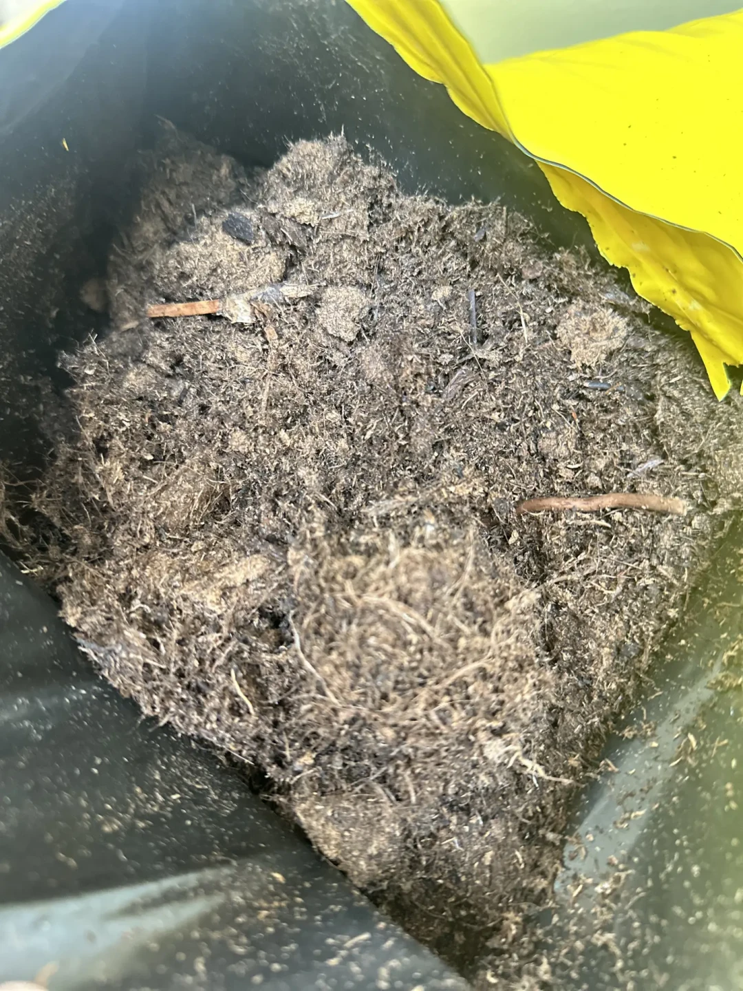 品氏老款买一包少一包,椰糠也跟着涨:秋天换盆前,先把泥炭这几张价签看明白