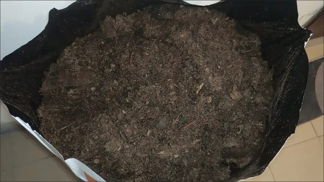 品氏老款买一包少一包,椰糠也跟着涨:秋天换盆前,先把泥炭这几张价签看明白