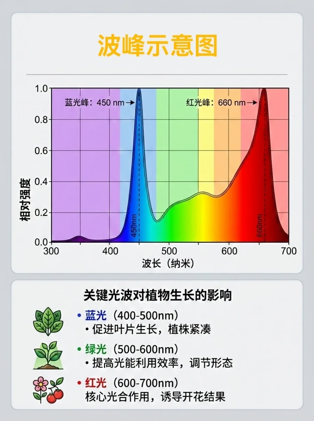 秋分一过,阳台的光就开始