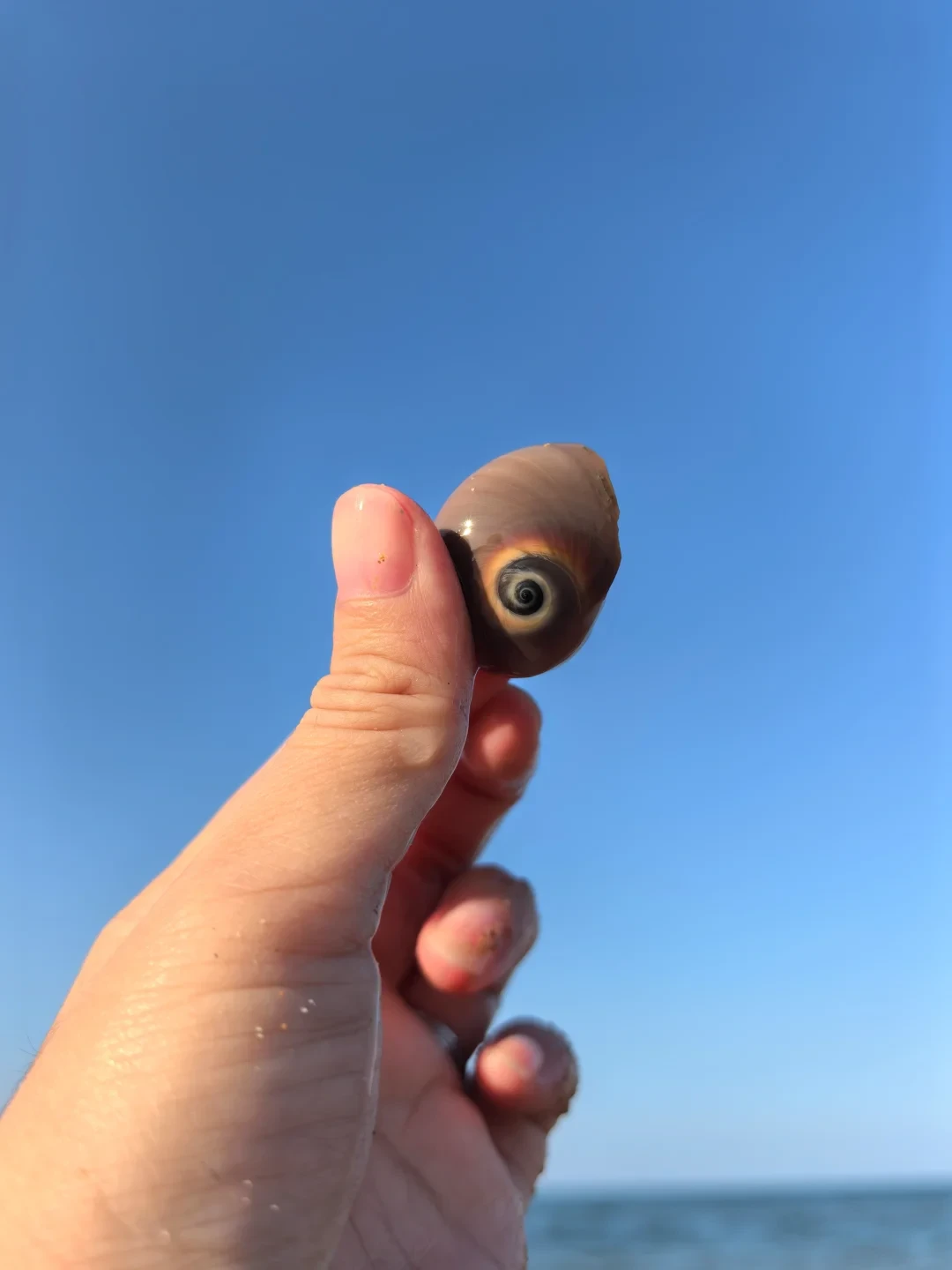 双假期赶海最好的窗口，其实是中间那三个