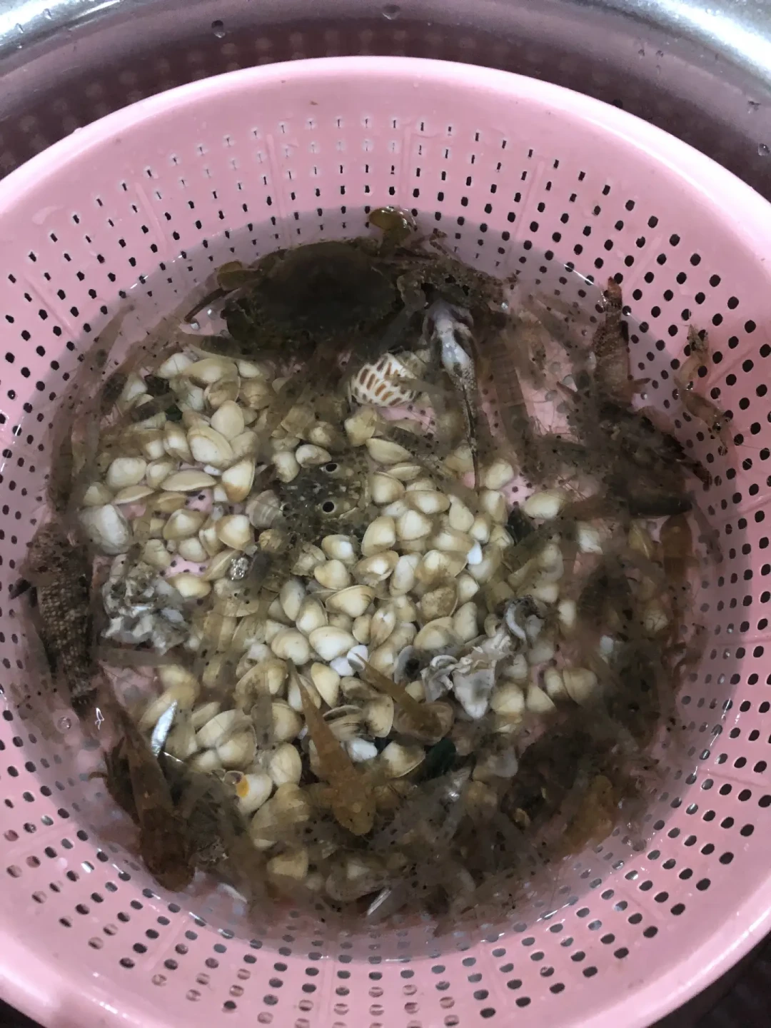 中秋假期正好撞上大潮窗口，可低潮一半在夜里：这份赶海排期功课先做再出发