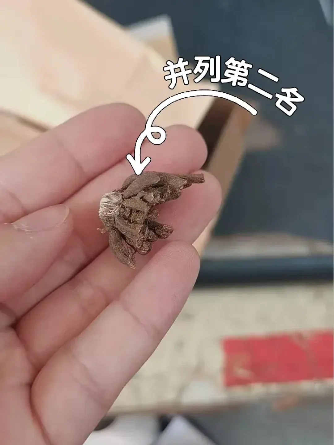 花毛茛“比惨大会”开到今年秋天:进口爪子真的缩水了吗?付了定金的先别慌,验货、售后、止损三件事先弄清楚