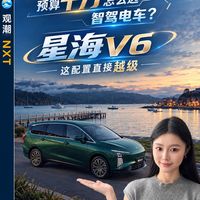 十万出头怎么选智驾电车?