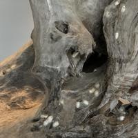 梁绍基与城市新展 | 当代艺术品9.15日报
