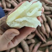 谁还没吃过这款白心糖心蜜薯！