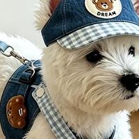 2026年9月宠物钙片推荐，猫狗补钙怎么选钙片看这篇就够了！