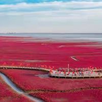 给父母买什么鱼油好？2026年六款国产鱼油按配方与身份解析