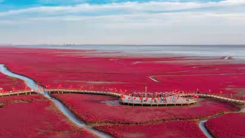 给父母买什么鱼油好？2026年六款国产鱼油按配方与身份解析