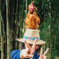 比大理便宜，体验却更封神，这是我心中最好玩的城市！