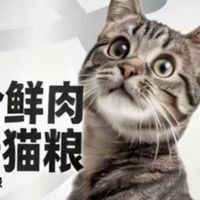 冻干包裹颗粒+200 亿益生菌：聪颖猫粮适口性实测