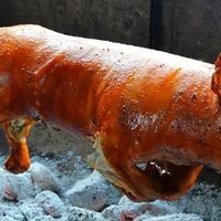 烤乳猪：皮脆脂香，一席宴席的点睛之味