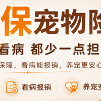 2026宠物保险哪个靠谱:五款实用宠物保险推荐