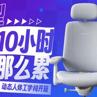 大体型人群也能有豪华座舱级体验，清闲Maxis Pro人体工学椅开箱