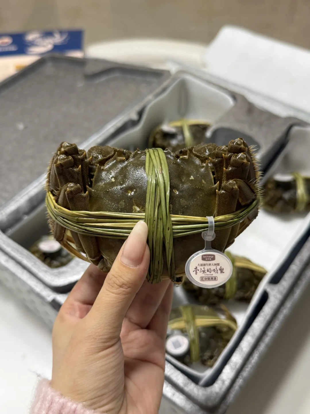 大闸蟹提前10天到货,你收到的多半不是阳澄湖蟹:开箱先「点名」,湿毛巾冷藏撑两三天,生醉蟹那口才是真红线