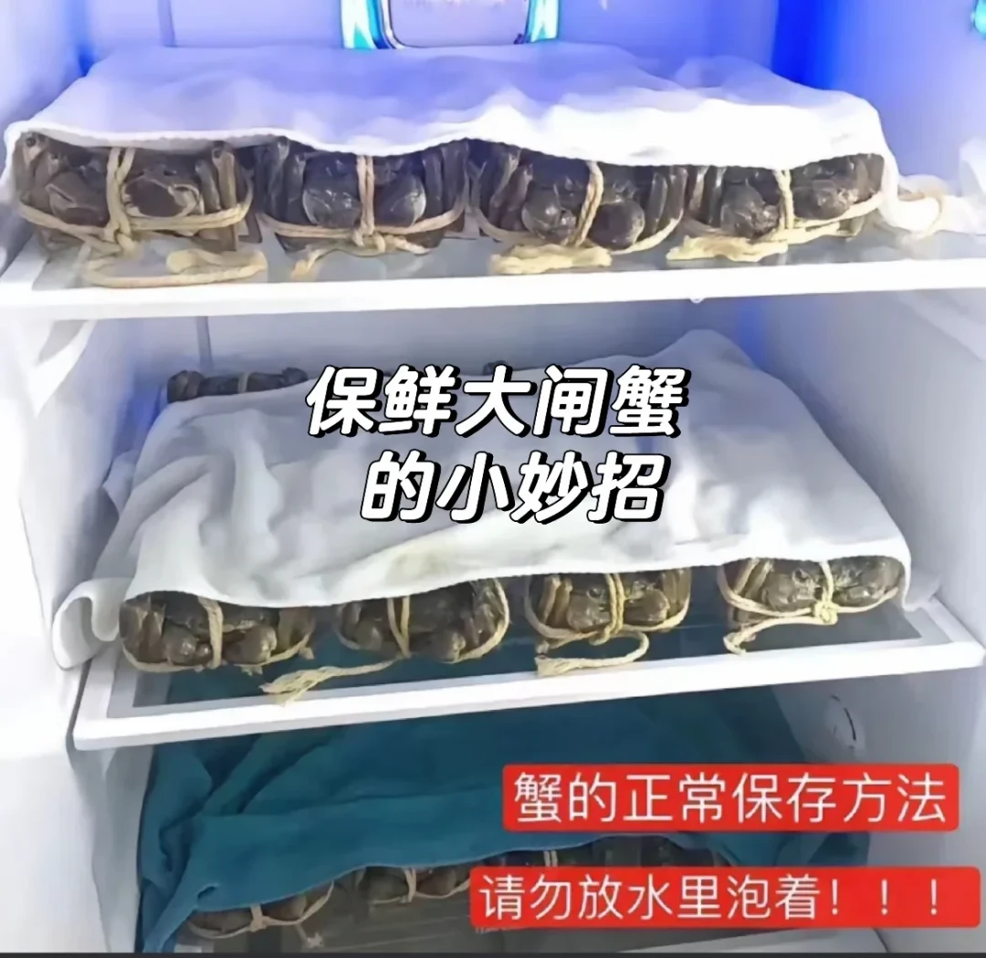 大闸蟹提前10天到货,你收到的多半不是阳澄湖蟹:开箱先「点名」,湿毛巾冷藏撑两三天,生醉蟹那口才是真红线