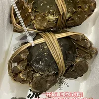 大闸蟹提前10天到货，你收到的多半不是阳澄湖蟹：开箱先「点名」，湿毛巾冷藏撑两三天，生醉蟹那口才是真红线