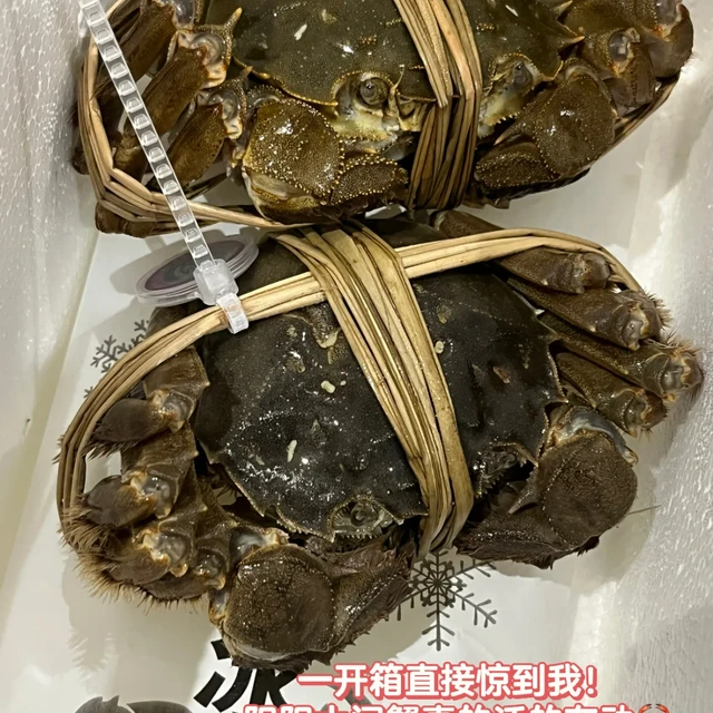 大闸蟹提前10天到货，你收到的多半不是阳澄湖蟹：开箱先「点名」，湿毛巾冷藏撑两三天，生醉蟹那口才是真红线