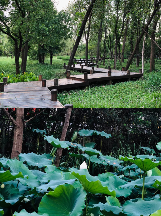骑行运动