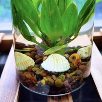 鱼缸搬移翻缸怕踩坑？缸师傅搬移安装全流程拆解
