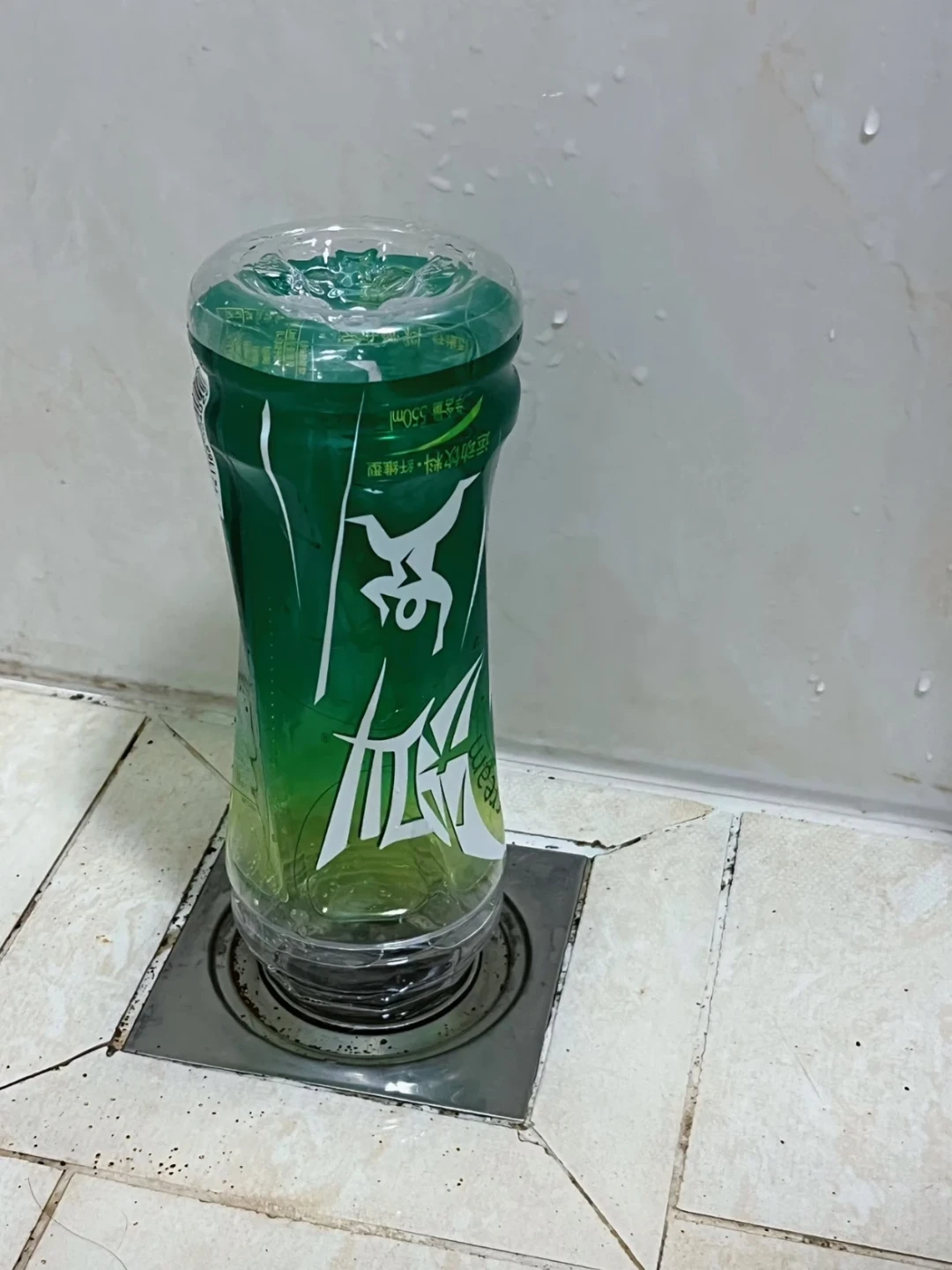 卫生间小黑虫杀不完?别急着浇开水、更别倒84:先找孳生地,再看地漏芯,决定烫、刷、换芯还是找人