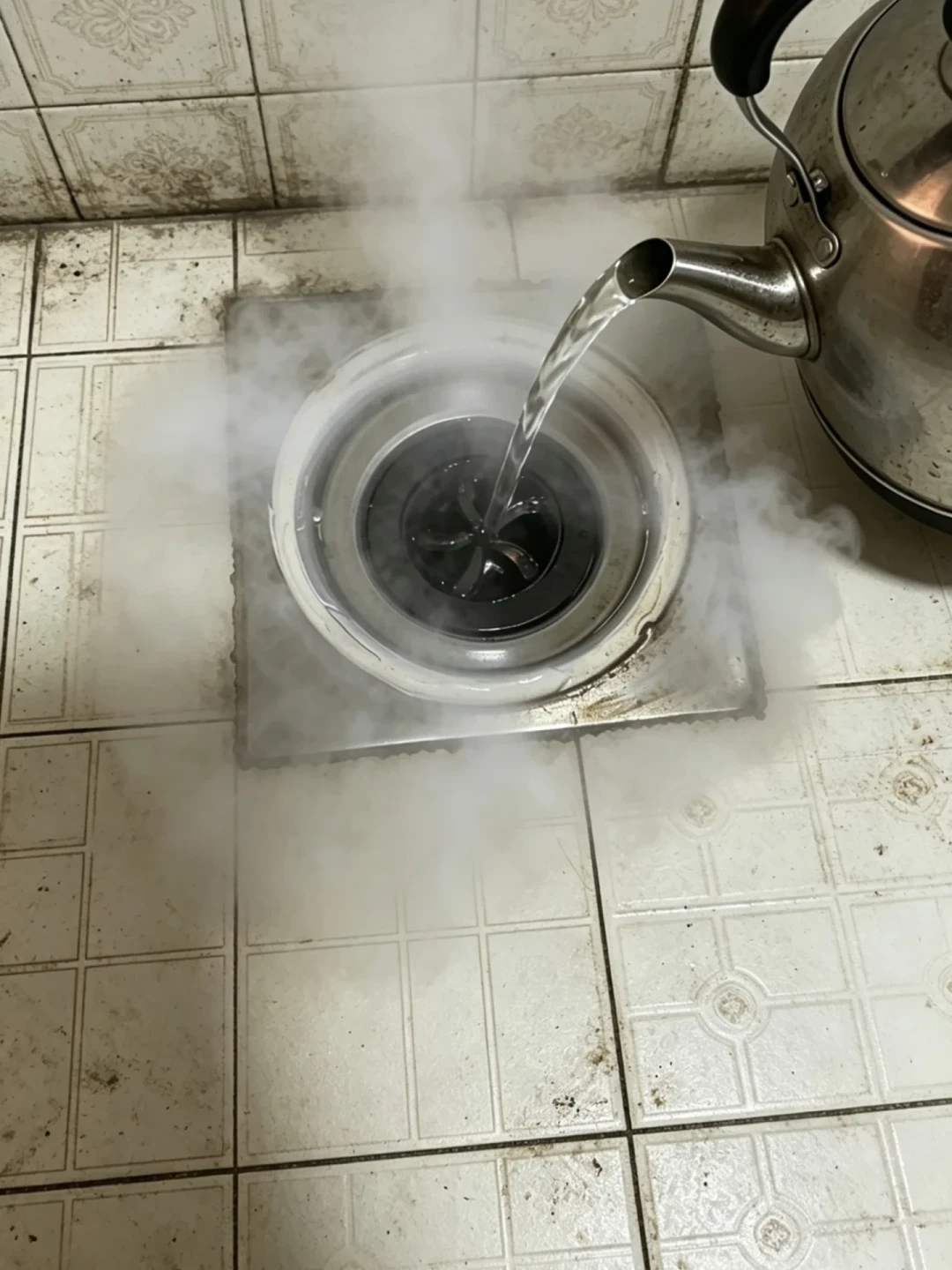 卫生间小黑虫杀不完?别急着浇开水、更别倒84:先找孳生地,再看地漏芯,决定烫、刷、换芯还是找人