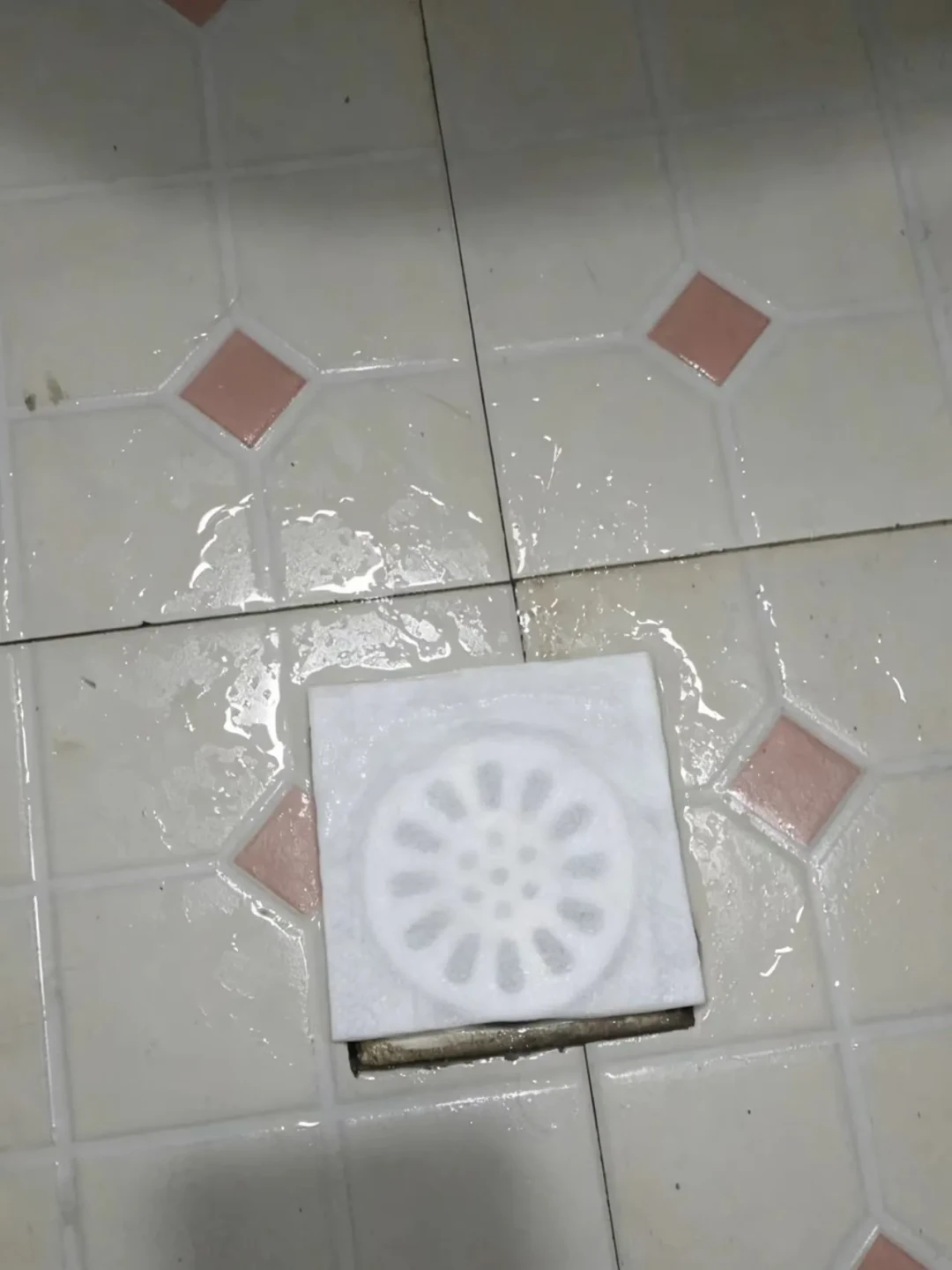 卫生间小黑虫杀不完?别急着浇开水、更别倒84:先找孳生地,再看地漏芯,决定烫、刷、换芯还是找人