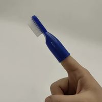 监狱专用牙刷——不仅是为了刷得干净