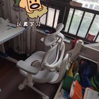 买到了最最最满意的学习椅！